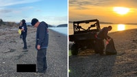 20 dead canines found on WA shores 'believed to be foxes'