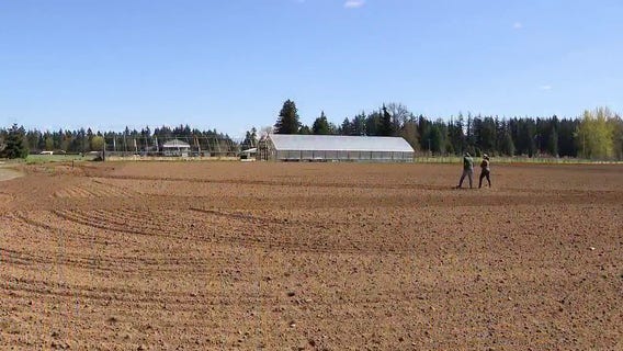 WA farmer says ICE raids leaves critical gap during planting season