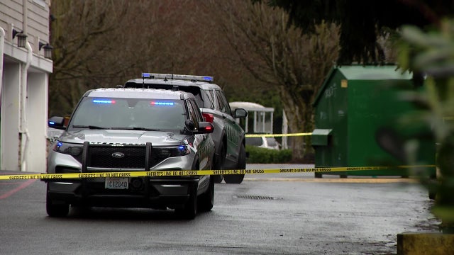 Snohomish County stabbing suspect said he was 'sent by Jesus'