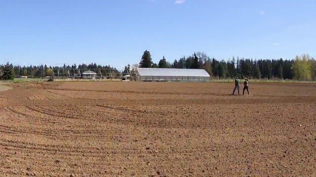WA farmer says ICE raids leaves critical gap during planting season