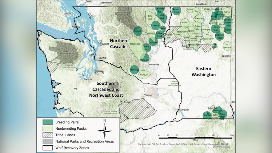 2026 Gray Wolf Population In Washington