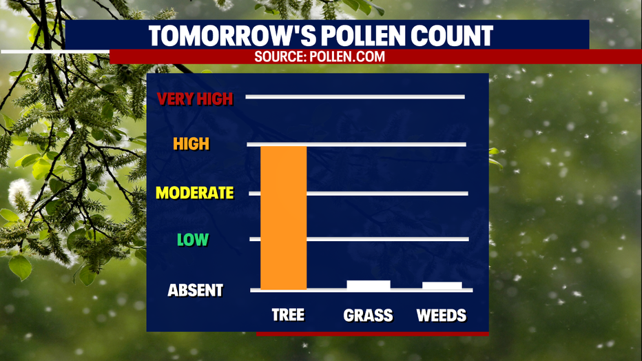 High counts of tree pollen for Tuesday.