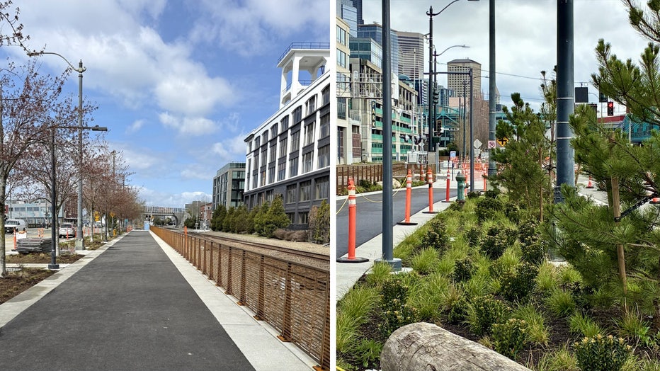 Newly planted beds with native and street-hardy trees; shrubs and perennials line the new multi-use trail. 