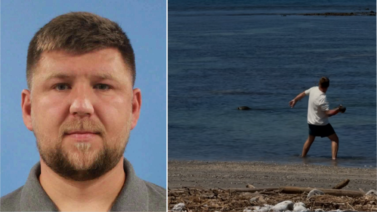 Hawaii monk seal rock thrower arrested, to appear in Seattle court
