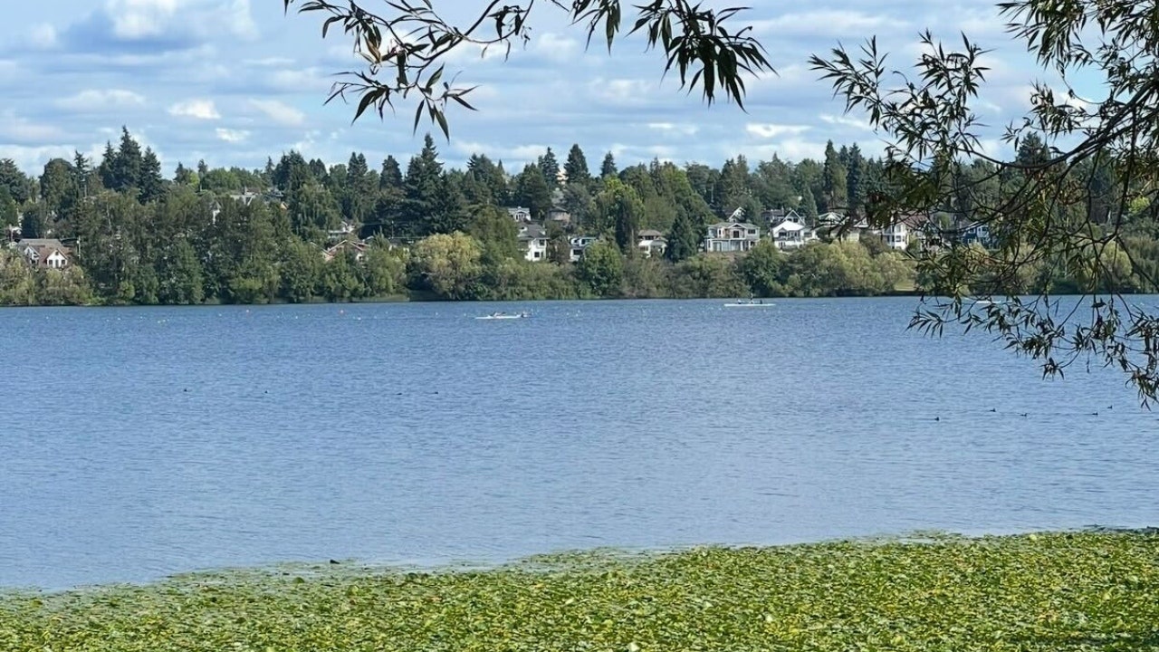Staying out of Seattle's Green Lake: Toxic algae found in water