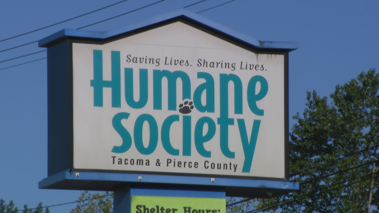 Humane Society dog kills family pet at Tacoma Marathon, shelter apologizes