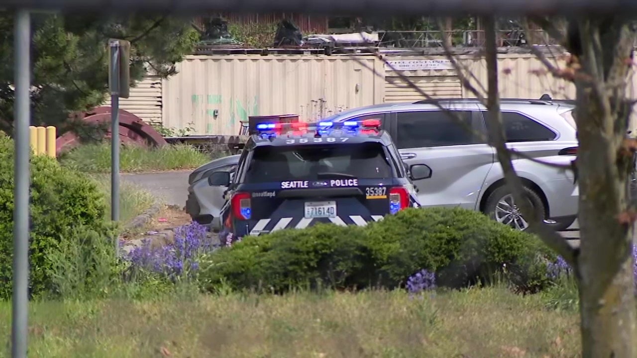 Woman stabbed in head in South Seattle, man arrested
