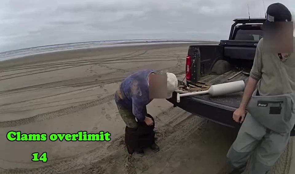 'You can strip search me!' Couple caught hiding dozens of razor clams in waders