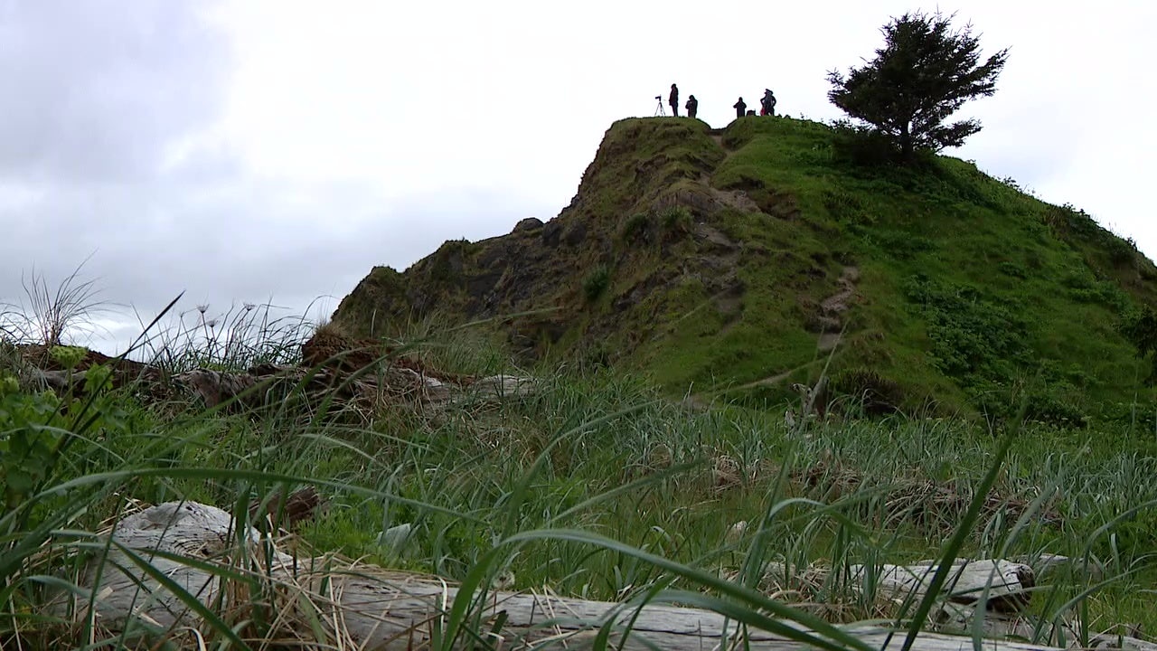 How drones are helping scientists monitor Washington’s recovering sea otters