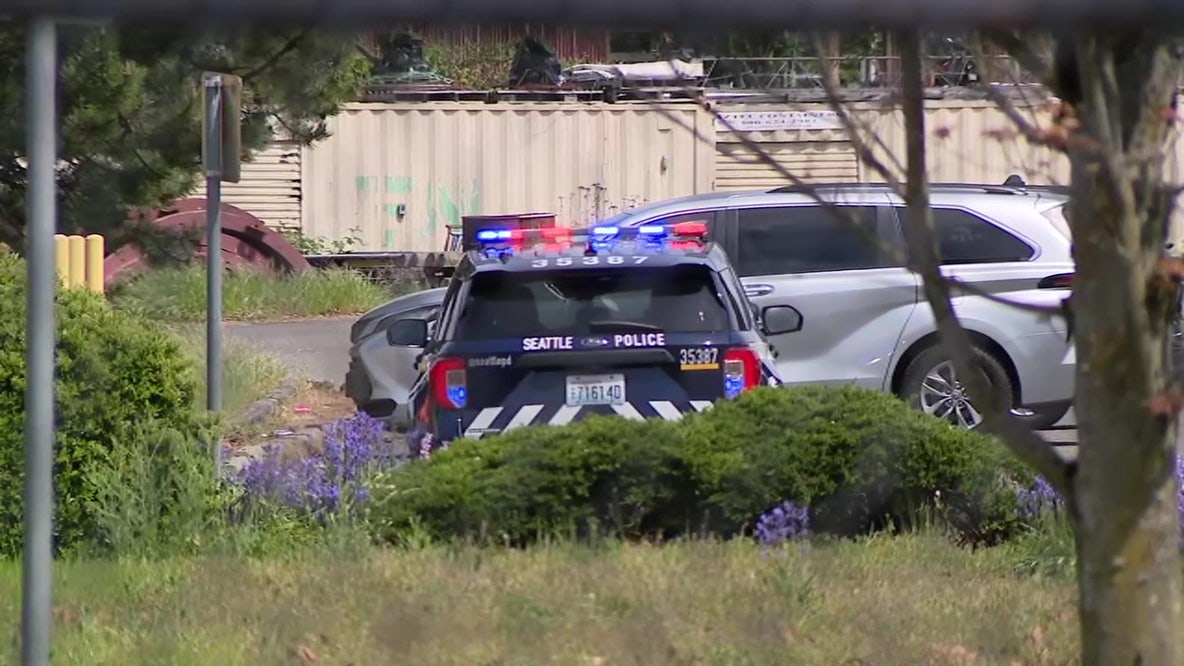Woman stabbed in head in South Seattle, man arrested