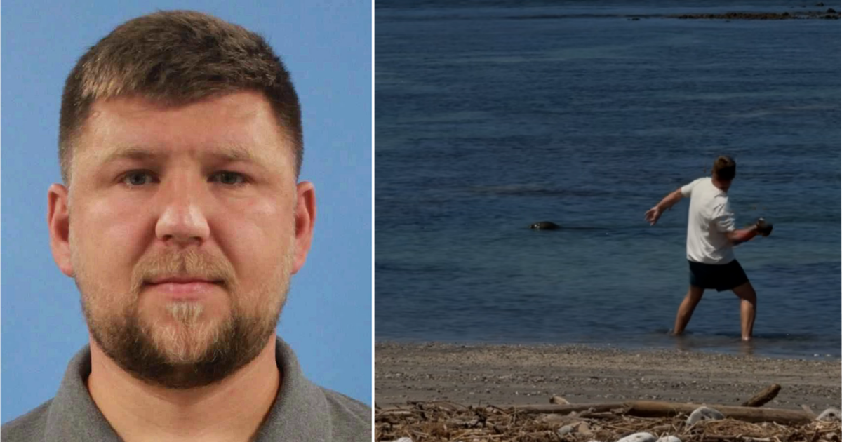 Hawaii monk seal rock thrower arrested, to appear in Seattle court