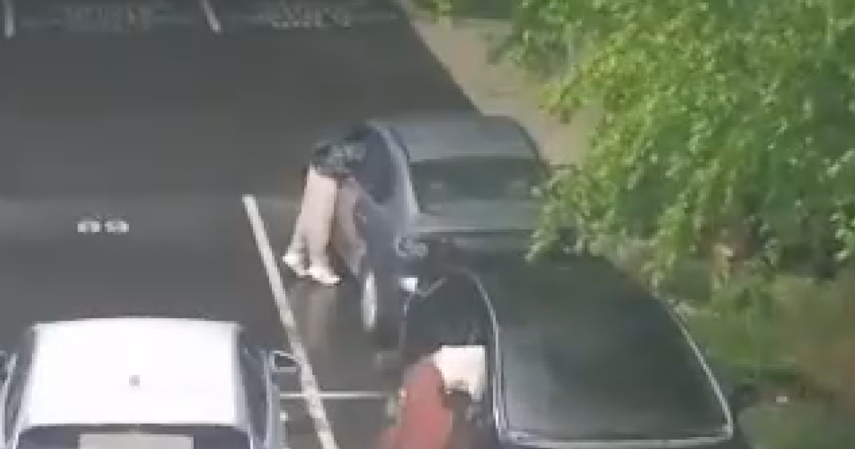 Camera catches crooks breaking into cars near Pacific Lutheran University