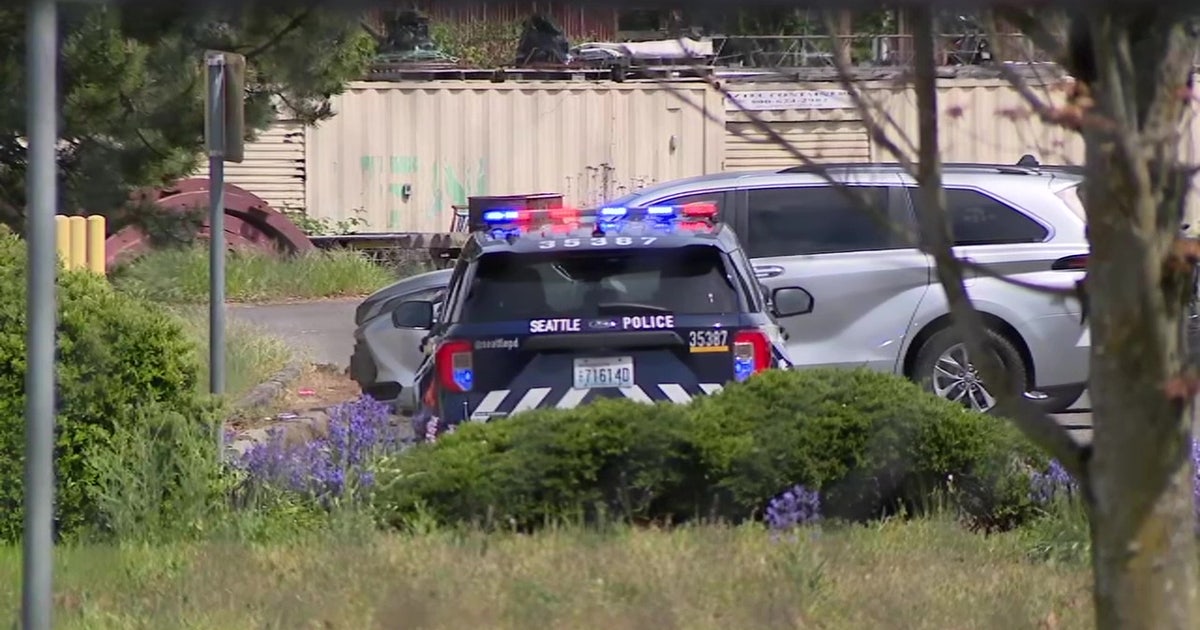 Woman stabbed in head in South Seattle, man arrested