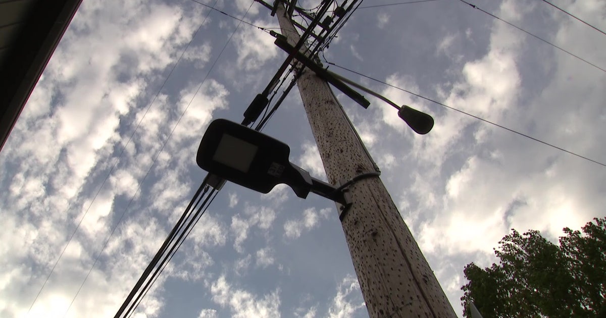 New pedestrian lights hope to improve safety along Alki Avenue