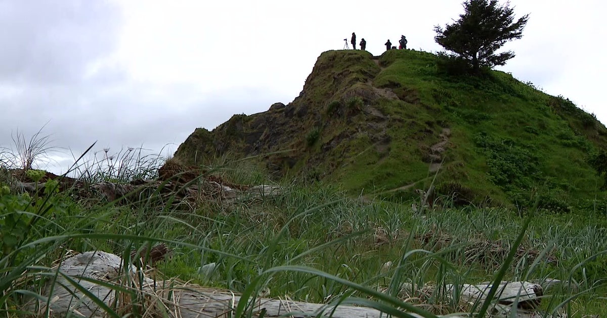 How drones are helping scientists monitor Washington’s recovering sea otters