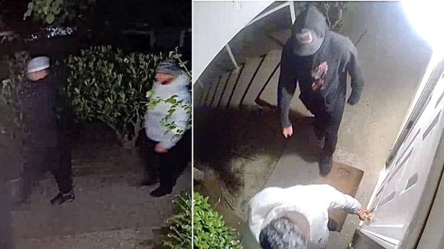 Suspect IDs sought in Issaquah, WA attempted break-in