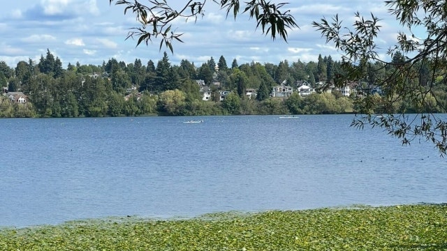 Staying out of Seattle's Green Lake: Toxic algae found in water