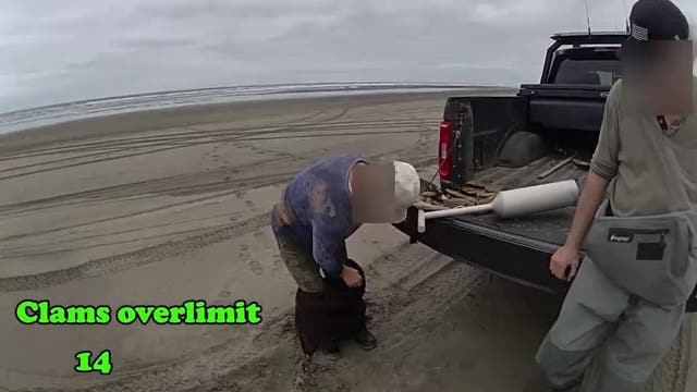 'You can strip search me!' Couple caught hiding dozens of razor clams in waders
