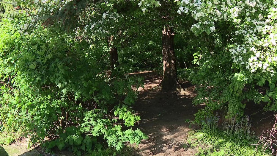 Woods Near Northgate Bus Stop