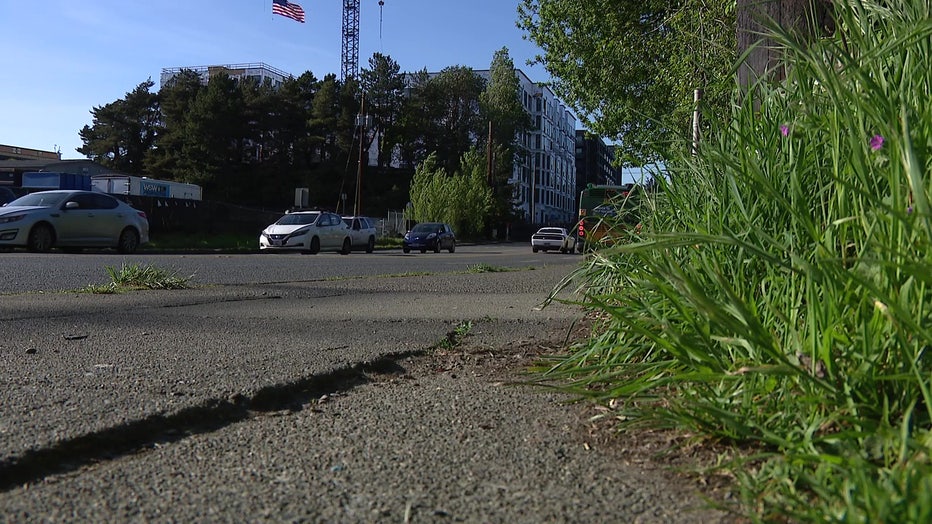 Northeast 103rd Street In Northgate