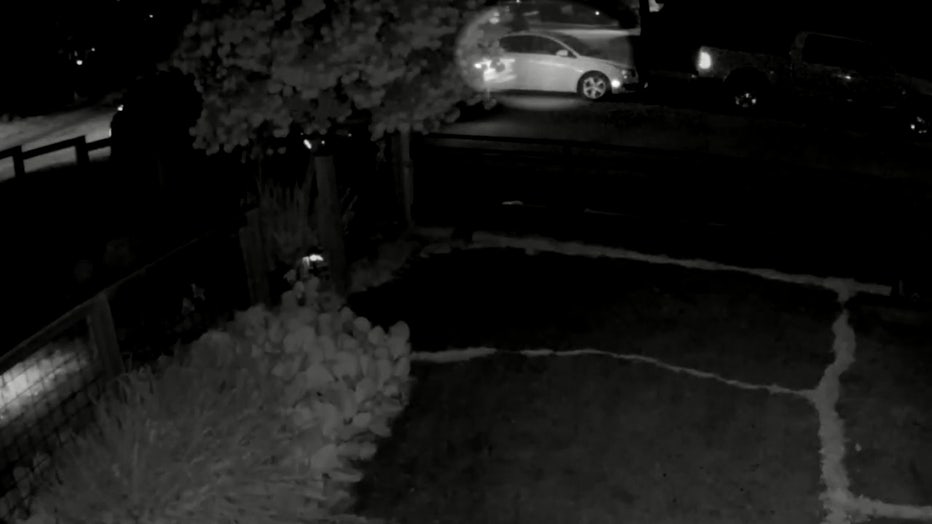 Aurora Avenue Ambush-Style Shooting