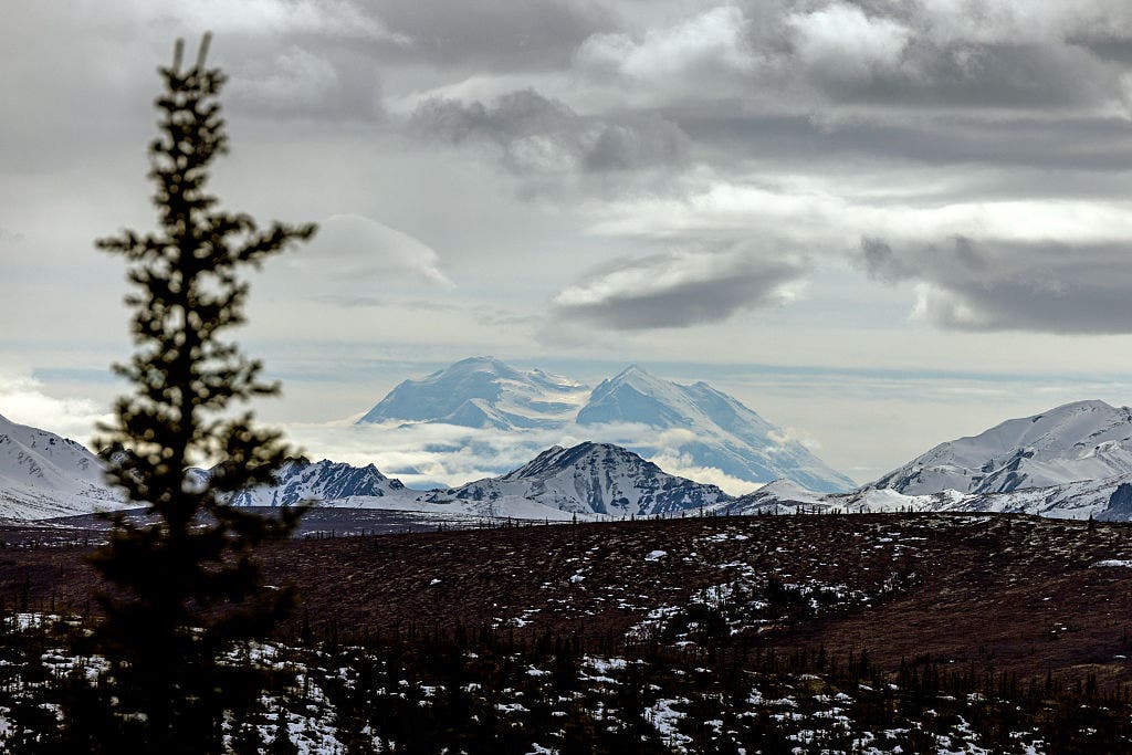 National Park Service ranger dies while on patrol at Mount McKinley ...