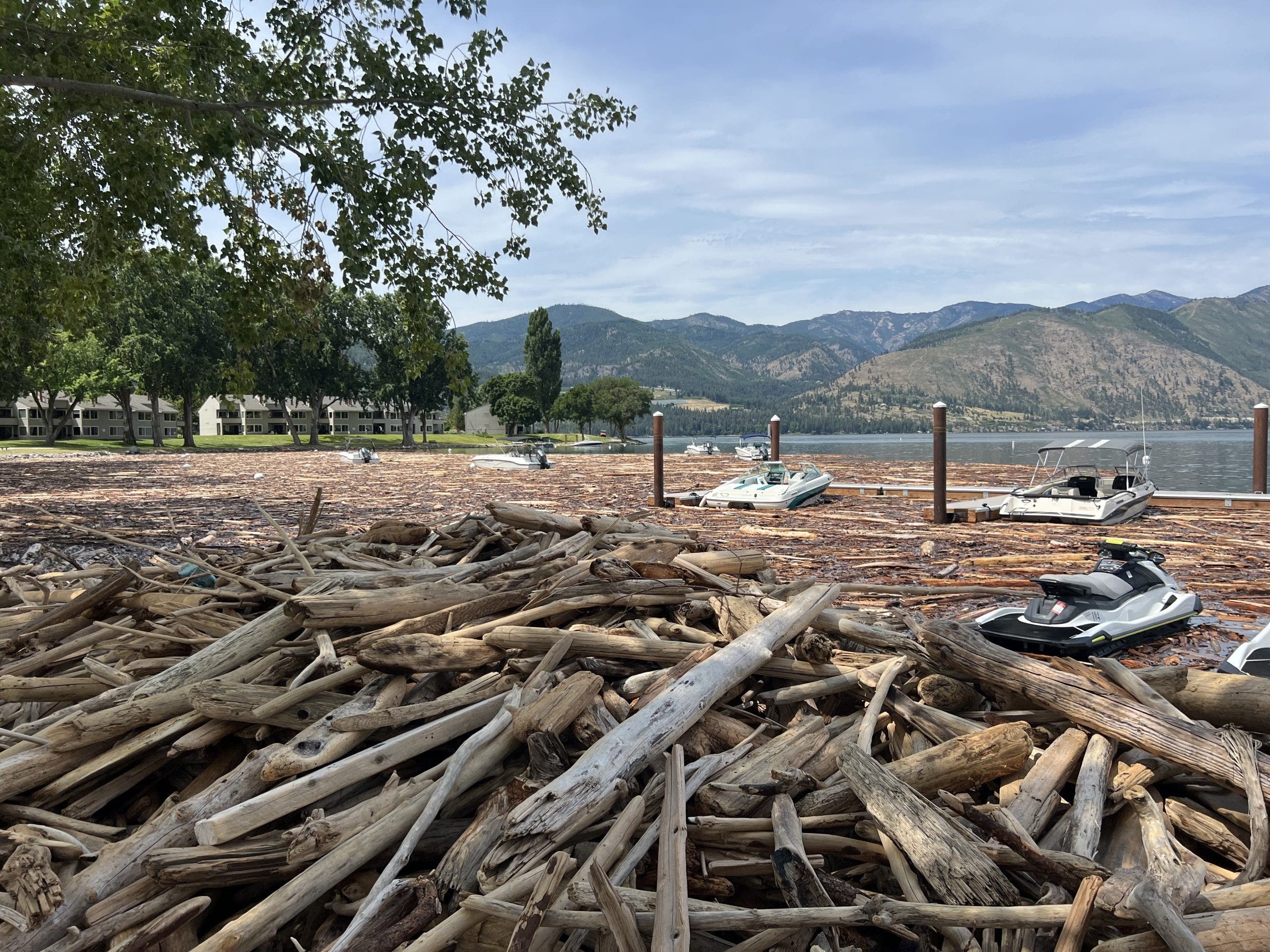 Lake Chelan, WA logjam on Pioneer Fire, winter storms | FOX 13 Seattle
