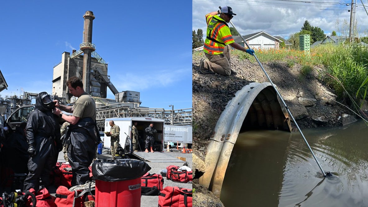 Longview mill implosion: Thousands of dead fish found in drainage ditches