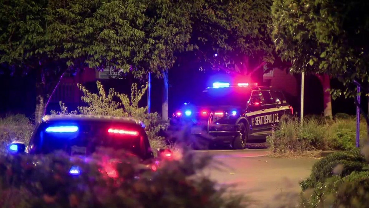 West Seattle shooting injures teen, police search for suspects