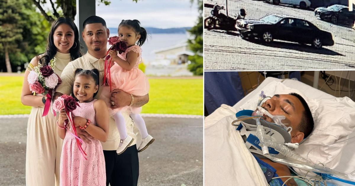 Family seeks driver in violent Seattle hit-and-run crash