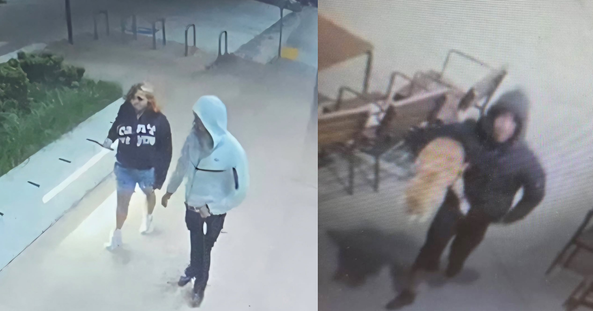 Kirkland police seek couple in dog theft at QFC