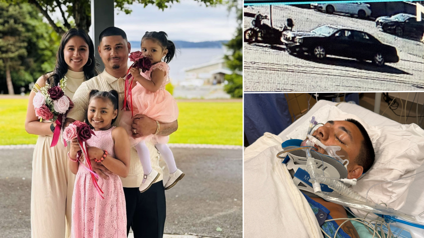 Family seeks driver in violent Seattle hit-and-run crash