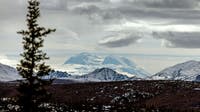 Seattle nurse, US park ranger dies on duty climbing Mount Mckinley in Alaska