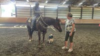 Woman charged with stealing family horse in Enumclaw