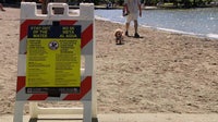 Seattle beach bacteria spike closes 5 King County parks