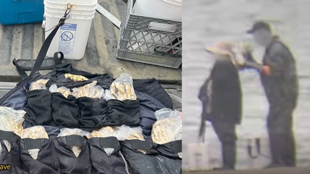 Custom puffer jacket used to hide illegal Dungeness crabs on WA coast