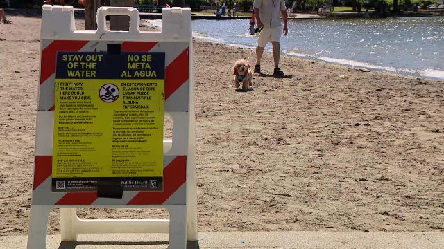 Seattle beach bacteria spike closes 5 King County parks