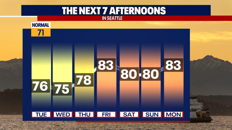 Next 7 Afternoons