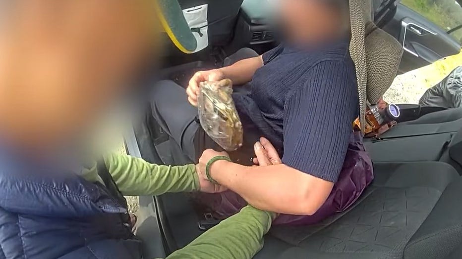 Fish and Wildlife officers cited four people for illegally harvesting 21 Dungeness crabs along the Washington coast. The group hid the crabs inside specialized sewn-in clothing pouches, a puffer jacket, and custom-made bandoliers. State officials found that 19 of the seized crabs were undersized and one was a female, which law requires to be released.