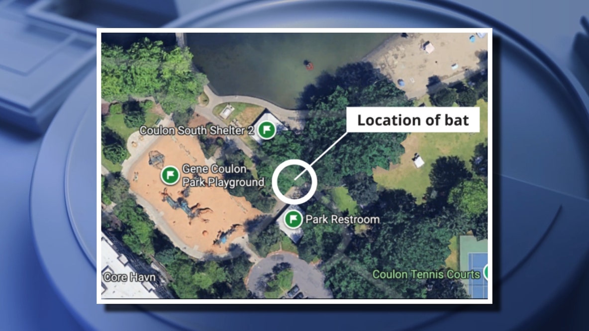 Park staff find rabid bat near playground in Renton, WA