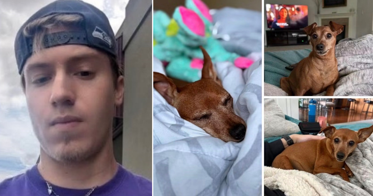 Thurston County, WA couple desperate to find dog after Rover sitter vanishes