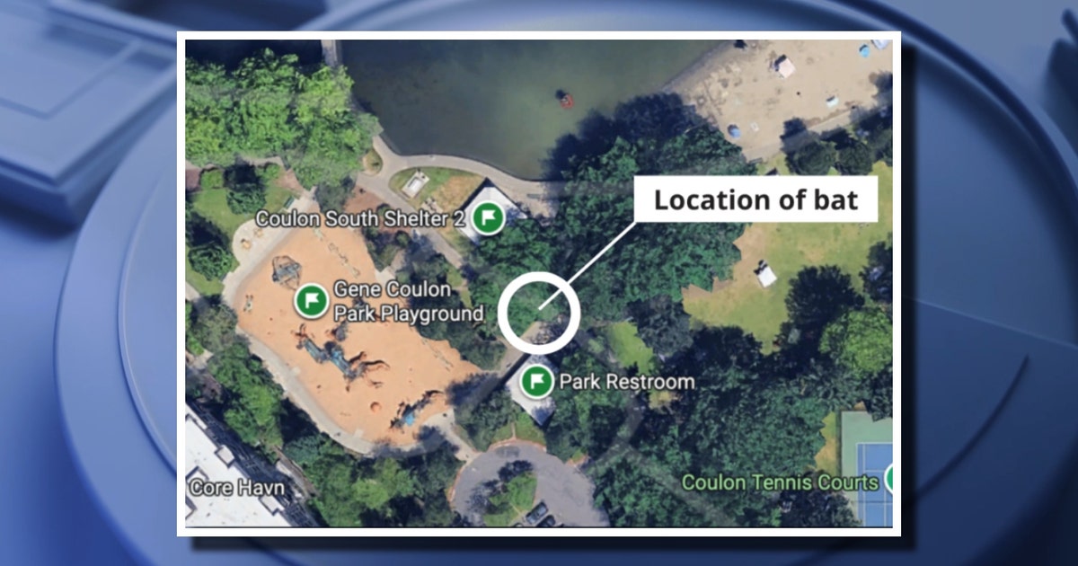 Park staff find rabid bat near playground in Renton, WA