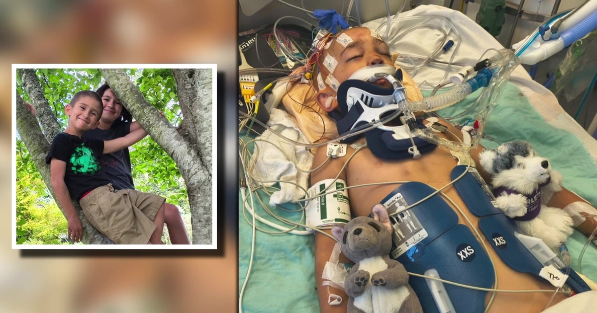 6-year-old boy killed by falling driftwood at Bellingham beach