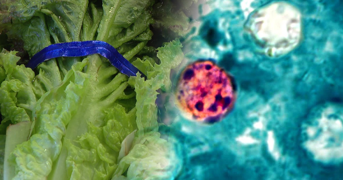 Is WA affected by the Taco Bell lettuce parasite outbreak? What to know