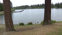 8-year-old drowns at Federal Way's Steel Lake Park
