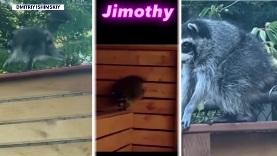 The internet loves Jimothy. But is there more than one?