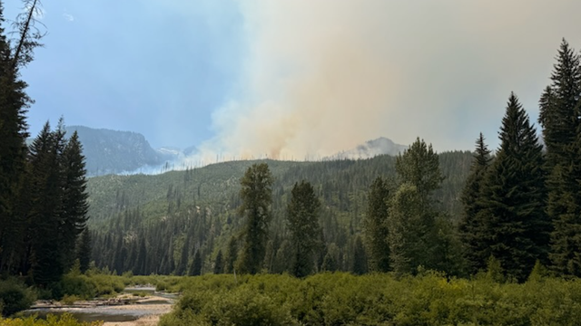 Level 1 'Get Ready' fire advisory issued for Trinity, WA, area