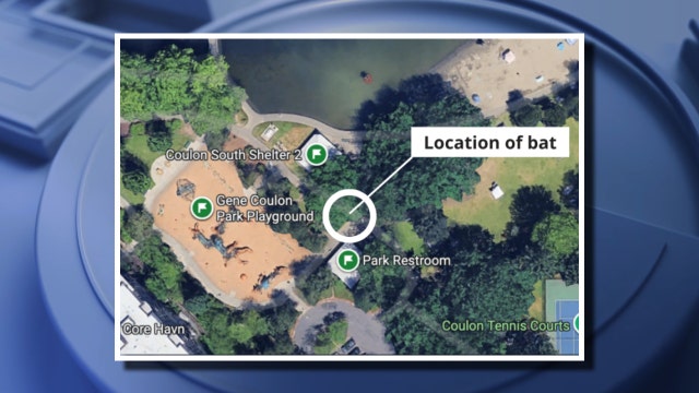 Park staff find rabid bat near playground in Renton, WA