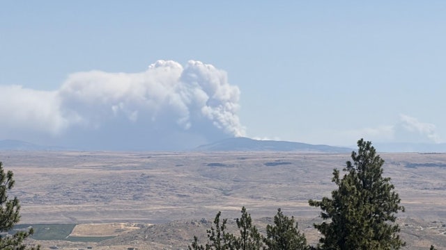 WA air quality map: Wildfire smoke forecast and updates across the state