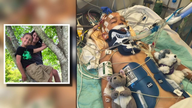 6-year-old boy killed by falling driftwood at Bellingham, WA beach